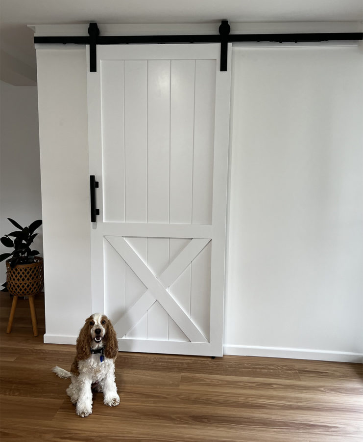 Single X Barn Door